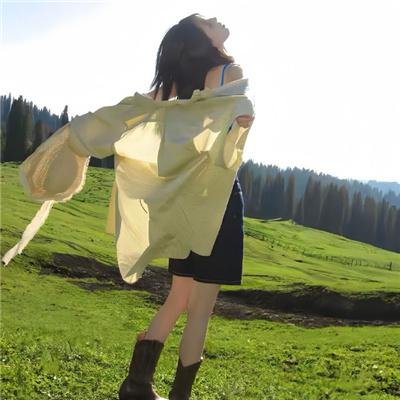 泰山传奇:森林争霸